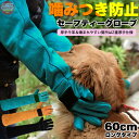 犬 猫 牛革 厚手 2重 ペットグローブ 噛みつき防止 ひっかき傷防止 60cm ロング 手袋 グローブ 耐熱性 耐熱グローブ 手袋 噛み 引っかき キャンプ ...