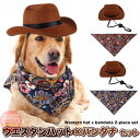 犬 猫 帽子 カウボーイハット バンダナ 2点セット ペット ワンタッチ 犬の帽子 テンガロンハット h0561
