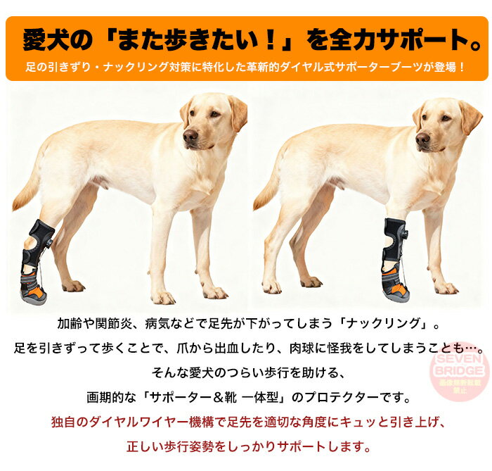 犬 靴 サポーター 一体型 ダイヤル式 ナックリング対策 足首 プロテクター 関節保護 歩行補助 介護シューズ 犬用 シニア 老犬 リハビリ 怪我 滑り止め h0652 2