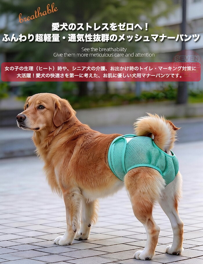 セブンブリッジの犬 マナーパンツ 女の子 フルメッシュ 通気性抜群 超軽量 ふんわり 優しい肌触り 生理パンツ 伸縮性 ゴム ズレない 小型犬 中型犬 大型犬 洗える 発情期 介護 h0665｜アングル3