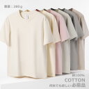 レディース Tシャツ 万能Tシャツ ベーシック 半袖シャツ ティーシャツ 半袖 トップス クルーネック 半袖ロング丈 Tシャツ シンプル カジュアル ロング丈 ...
