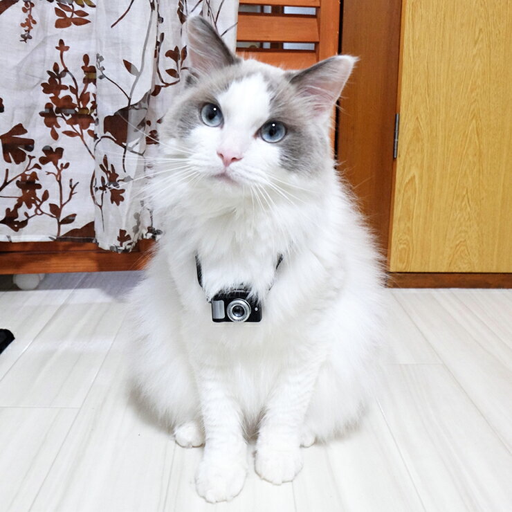 カメラネックレス