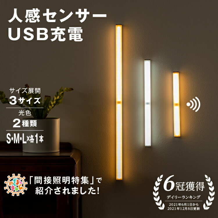 【楽天6冠】人感センサー LED ライト