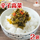 辛子高菜 250g×2袋 九州高菜 福岡 送料無料 博多 福岡 帰省土産 旅行土産 おかず ご飯のお ...