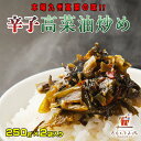 辛子高菜 250g×2袋 九州高菜 福岡 送料無料 メール便 博多 福岡 帰省土産 旅行土産 おかず ご飯のお供 おつまみ お土産 ギフト ポイント消化