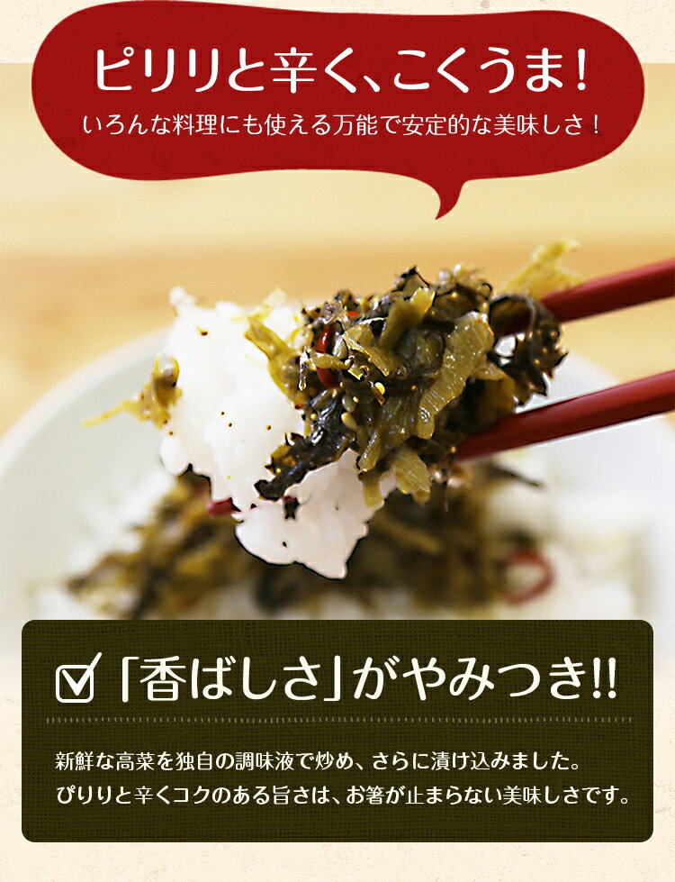 辛子高菜 100g×2袋 明太子入高菜 送料無料 博多 福岡 帰省土産 旅行土産 おかず ご飯のお供 おつまみ お土産 ギフト ポイント消化 [メール便]