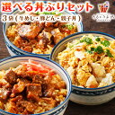 選べる 丼の素 3袋 セット 送料無料 親子丼 牛丼 豚丼 豚 どんぶり 国産 レトルト お試し 旨さに 訳あり 惣菜 豆板醤 肉 非常食 [メール便]