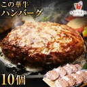 ハンバーグ 100g × 10個 冷凍 1kg この華牛 牛肉 ステーキ肉 宮崎県産 国産 送料無料 ...