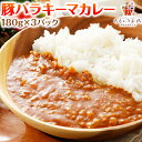 キーマカレー 180g×3パック 送料無料 レトルト食品 国