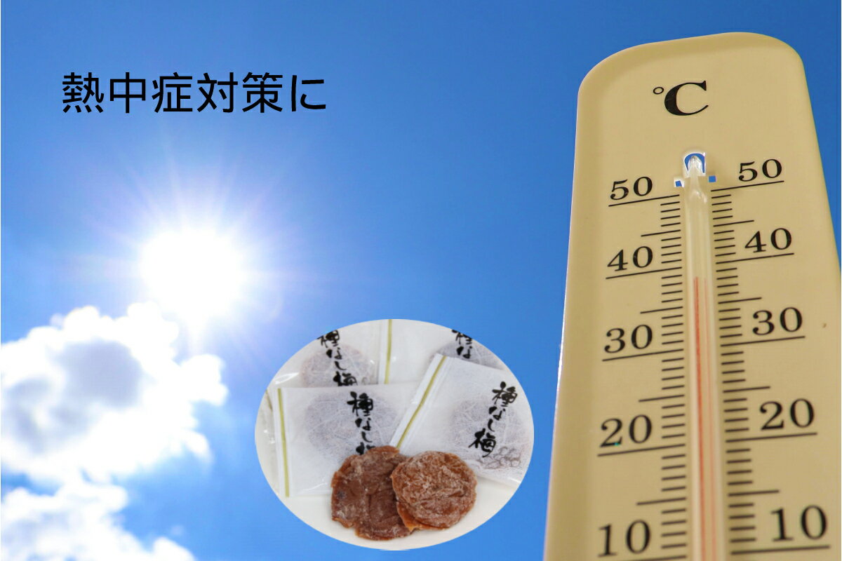 お徳用パック 美味しく種無しで食べやすい 個包装なので持ち歩きに便利 干し梅まろやか干し梅 300g 3袋パック 人気上昇中 個包装 種なしメール配送にてお届け代引き 日時指定をご利用の場合送料が必要な宅配となります コーヒータイムにお茶 コンビニ受取 Rays300gパック