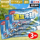 速攻冷却 瞬間冷却 冷却剤 3個セット あす楽　送料無料 冷却剤 冷却パック 冷却 冷却グッズ 冷却剤 暑さ対策 熱中症対策 熱中症対策グッズ 保冷剤 日焼け 水まくら 氷まくら 冷却シート キャンプ