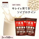 美痩 プロテイン 2袋セット 約160杯分ソイプロテイン 無添加 植物性 ソイプロ 大豆 アミノスコア オーガニック 置き換え ダイエット ファスティング 人工甘味料不使用 美容 ビューティー 健康 女性 女性向け 高タンパク 間食 減量 食品