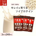【15日ポイント3倍!0と5の日】 美痩 プロテイン 3袋セット 約240杯分ソイプロテイン 無添加 植物性 ソイプロ 大豆 アミノスコア オーガニック 置き換え ダイエット ファスティング 人工甘味料不使用 美容 ビューティー 健康 女性 女性向け 高タンパク 間食 減量 食品