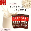 【15日ポイント3倍!0と5の日】 美痩 プロテイン 2袋セット 約160杯分ソイプロテイン 無添加 植物性 ソイプロ 大豆 アミノスコア オーガニック 置き換え ダイエット ファスティング 人工甘味料不使用 美容 ビューティー 健康 女性 女性向け 高タンパク 間食 減量 食品