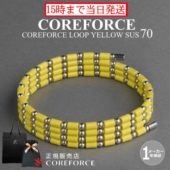 ե롼   SUS 70cmݡĥ꡼ ֥쥹å ͥå쥹 󥯥å  ץե ȥ졼˥ ڥȥ ꡼ ץ 򹯥꡼  ǥ  ץ쥼 ե COREFORCE ƣȿϺ ﹬