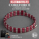 365日発送 コアフォース ループ サス SUS 50 全長50cm COREFORCE ネックレス ブレスレット アンクレット アクセサリー 体幹 バランス ゴルフ スイング 安定 飛距離 アップ おしゃれ メンズ レディース 中嶋常幸 古江彩佳 プロゴルファー 公式 ギフト プレゼント 母の日