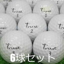 ロストボール Trust ホワイト 6球セット 中古 Aランク トラスト バイソン パンサー 白 ゴルフボール