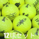 ロストボール ゴルフボール ダンロップ SRIXON X シリーズ イエロー ロゴあり 12球セット 中古 Aランク 訳あり スリクソン 飛距離追求型3ピース!ドラコンプロも絶賛の限界突破ぶっ飛びスリクソンX!とにかく飛ばしたいあなたへ最大飛距離更新です!黄色 1ダース 送料無料