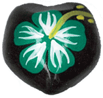 ククイナッツ 柄 天然素材 ハワイアンレイ シェルリング CNG-166 (取り寄せ品) (メール便不可)