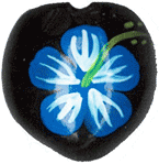 ククイナッツ 柄 天然素材 ハワイアンレイ シェルリング CNG-168 (取り寄せ品) (メール便不可)