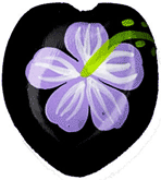 ククイナッツ 柄 天然素材 ハワイアンレイ シェルリング CNG-171 (取り寄せ品) (メール便不可)