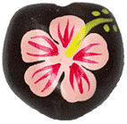 ククイナッツ 柄 天然素材 ハワイアンレイ シェルリング CNG-173 (取り寄せ品) (メール便不可)