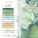 フランス刺しゅう セレクトカラー 糸セット (2M×10色) GARDEN PARTY ナチュラル ガーデンパーティー GP-C10 (取り寄せ品) (メール便可)