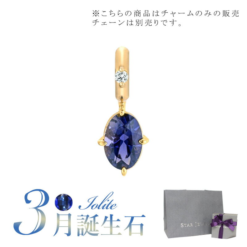 スタージュエリー ネックレス スタージュエリー STAR JEWELRY K10 チャーム TALISMANIC IOLITE CHARM(3月の誕生石) 2JC0086 母の日