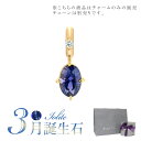 スタージュエリー ネックレス スタージュエリー STAR JEWELRY K10 チャーム TALISMANIC IOLITE CHARM(3月の誕生石) 2JC0086 母の日