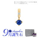 スタージュエリー ネックレス スタージュエリー STAR JEWELRY K10 チャーム TALISMANIC BLUE SAPPHIRE CHARM (9月の誕生石) 2JC0092 母の日