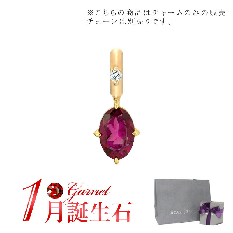 スタージュエリー ネックレス スタージュエリー STAR JEWELRY K10 チャーム TALISMANIC RHODOLITE GARNET CHARM (1月の誕生石) 2JC0084 母の日