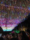 立ち下がり雨ライト LED流星群 30cm 8pcs シャワーライト 流星シャワーライト 降雪LEDライト イルミネーション LED ライト 屋外 流星のクリス...
