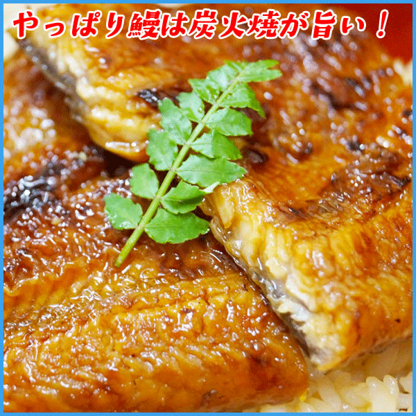 宮崎県産 炭火焼 特大 鰻の蒲焼 長焼き1枚200g 国産 うなぎ ウナギ 土用丑の日 ギフト 宮崎県産 炭火焼 特大 鰻の蒲焼 長焼き1枚200g 国産 うなぎ ウナギ 土用丑の日 ギフト