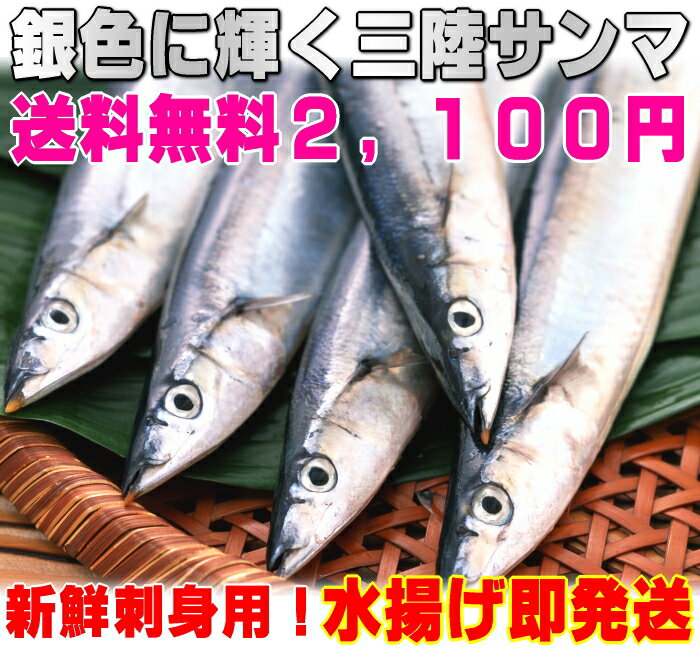 【送料無料】選べる3種三陸水揚げ直送生サンマ産地の旨味を刺身で堪能！ちょっとアウトサイズで激安