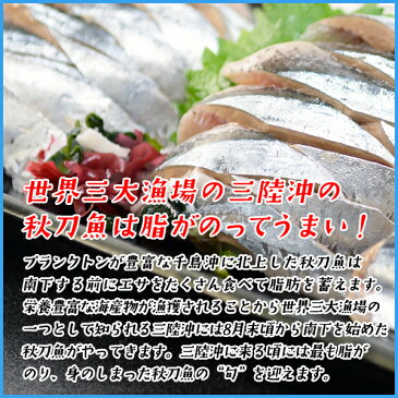 三陸産 鮮 秋刀魚 1尾130g以上保証 総重量3kg(19〜24尾入が目安となります) 食べ方ガイド付き 生さんま サンマ