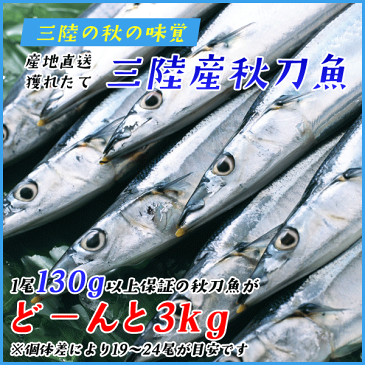 三陸産 鮮 秋刀魚 1尾130g以上保証 総重量3kg(19〜24尾入が目安となります) 食べ方ガイド付き 生さんま サンマ