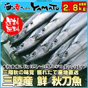 三陸産 鮮 秋刀魚 1尾140g以上保証 総重量2.8kg(18〜20尾入が目安となります) ...