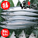 三陸産 鮮 秋刀魚 1尾130g以上保証 総重量1.5kg(...