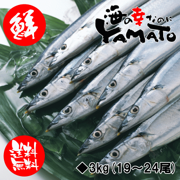 三陸産 鮮 秋刀魚 1尾130g以上保証 総重量3kg(19〜24尾入が目安となります) 食べ方ガイド付き 生さんま サンマ