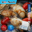 【母の日指定配送受付中/ギフトセット】広島県産 牡蠣むき身 1kg(NET800g)×2袋 際立つ超大粒3Lサイズ 剥き牡蠣 山下水産 冷粒 カキ かき 冷凍食...