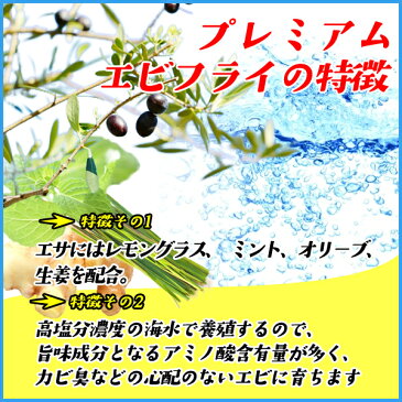 ハーブシュリンプ 海老フライ 13cm×10本 ハーブシュリンプ厳選使用 エビフライ えび エビ あす楽