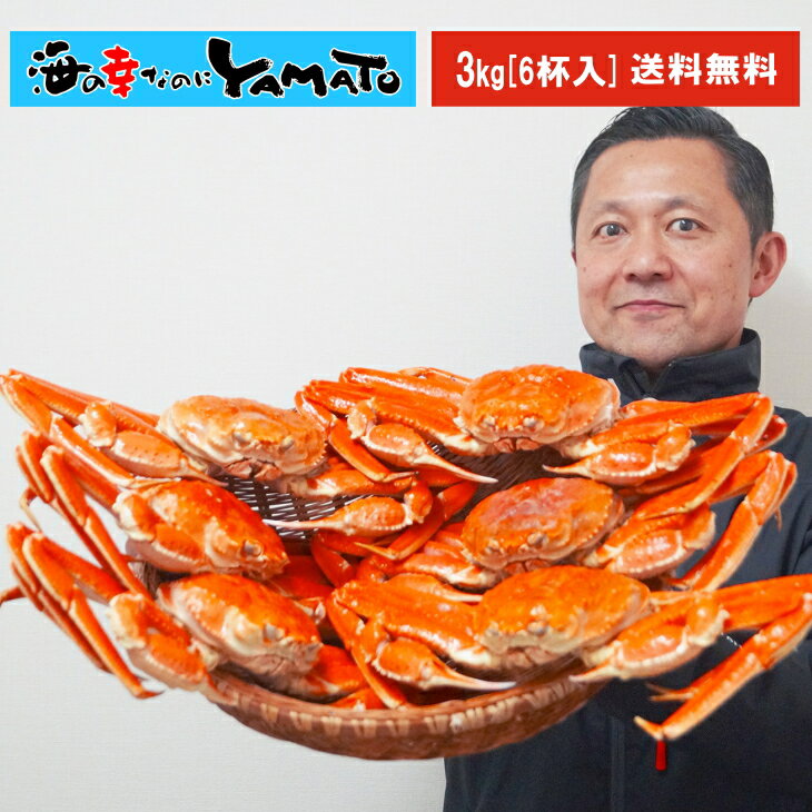 【確率1/2★最大100％Pバック】12区の煌めき”本ズワイ蟹姿造り 3kg(6尾入り) カニ かに 蟹 ずわい蟹 ズワイガニ 蟹味噌 カニ味噌 海の幸 敬老の日 お歳暮 お祝い お歳暮のサムネイル