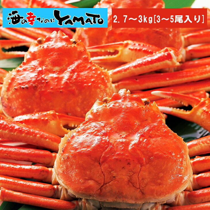 【訳あり】でお得！本ズワイ蟹姿造り 2.7kg～3kg(3～7尾入り) カニ かに 蟹 ずわい ずわいがに ずわい蟹 ズワイ ズワイガニ 蟹味噌 カニ味噌 海の幸 敬老の日 お歳暮 お祝い お歳暮のサムネイル
