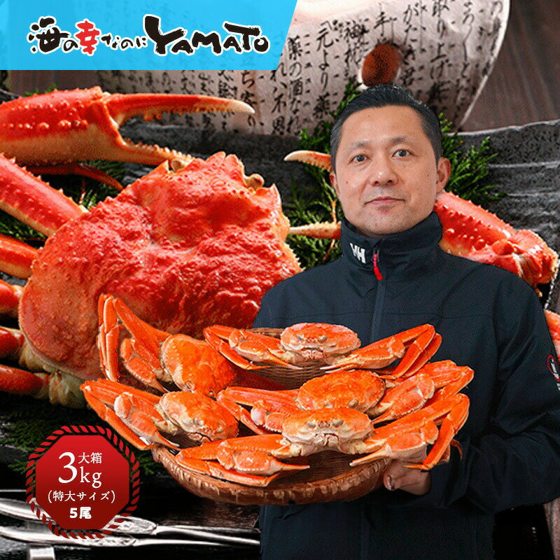 ボイル本ズワイ蟹“超特大”姿造り3kg に 5尾（特大） カニ かに 蟹 ずわい ずわいがに ずわい蟹 ズワイ ズワイガニ 蟹味噌 カニ味噌 海の幸 敬老の日 お歳暮 お祝い お歳暮のサムネイル