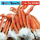【見切り半額クーポン発行中】 ボイル本ズワイ蟹 山盛り5kg...