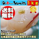 北海道オホーツク紋別産ホタテ貝柱 1kg【送料無料】便利なバラ冷凍父の日/ほたて/ホタテ/帆立/貝/貝柱/お歳暮/刺身/海鮮丼 - 海の幸なのにYAMATO