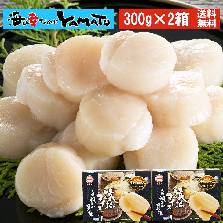 北海道紋別産 ホタテ貝柱 300g×2箱セット 帆立 ほたて かい カイ 贈答 海鮮 ギフト お祝い お歳暮 プレゼント お歳暮のサムネイル