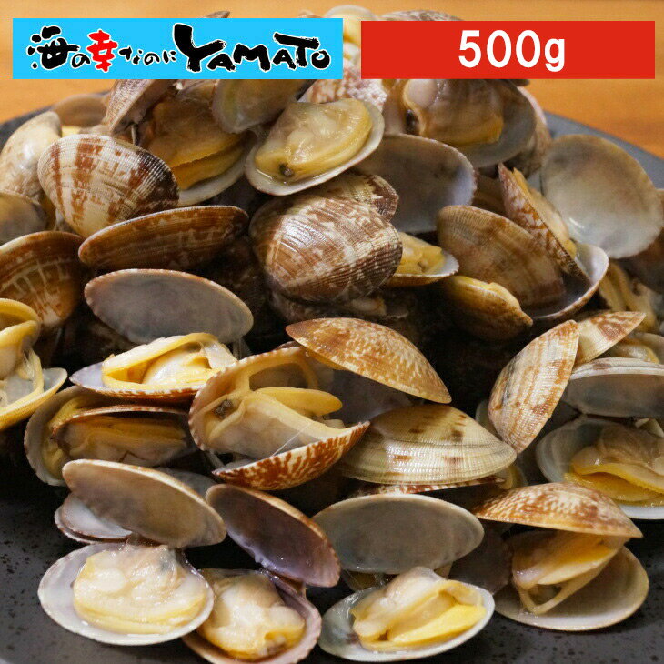【賞味期限2023年8月31日】訳あり 天然 殻付きアサリ Mサイズどっさり500g 冷凍食品 あさり 貝 かい カイ 浅利 お中元のサムネイル