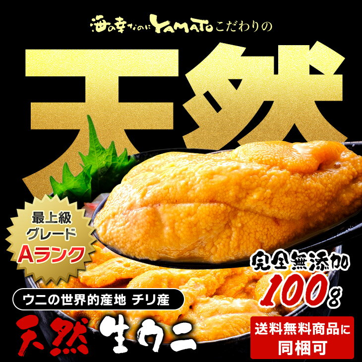 天然生ウニ100g ミョウバン不使用完全無添加 2014年グルメ大賞受賞 うに 雲丹 海鮮丼 寿司 2