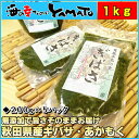 秋田県産ぎばさ「ギバサ」200g×5パック三高水産 秘密のケンミンSHOW登場【あす楽対応_東北】【あす楽対応_関東】【あす楽対応_甲信越】父の日/海草/ギフト/健康 - 海の幸なのにYAMATO